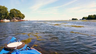 Kayaking through the river and canals in Gibraltar, MI. Perfect day on the water!