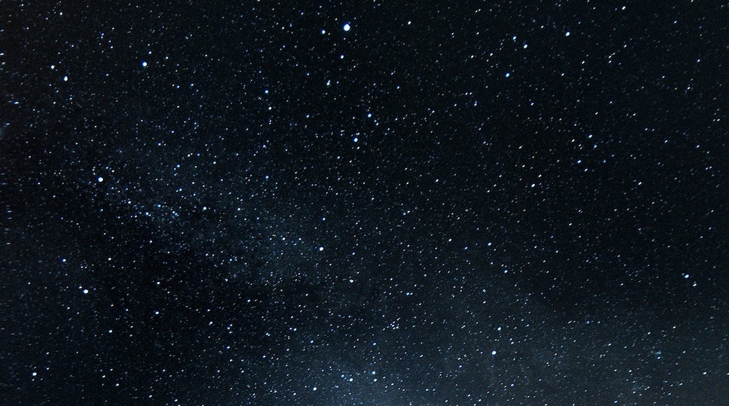 相片由 Penguin and Fox 提供