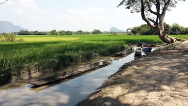 At the end of the boat ride out of Sadan Cave. Bring a torch and something to clean your feet afterwards! The little shops at the end of the boat ride are pretty nice too.
#troveon #myanmar 