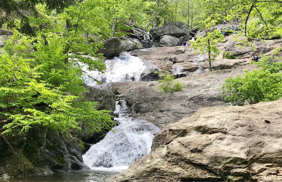 Beautiful, easy 2/3 mile hike but absolutely packed with people and unfriendly dogs.