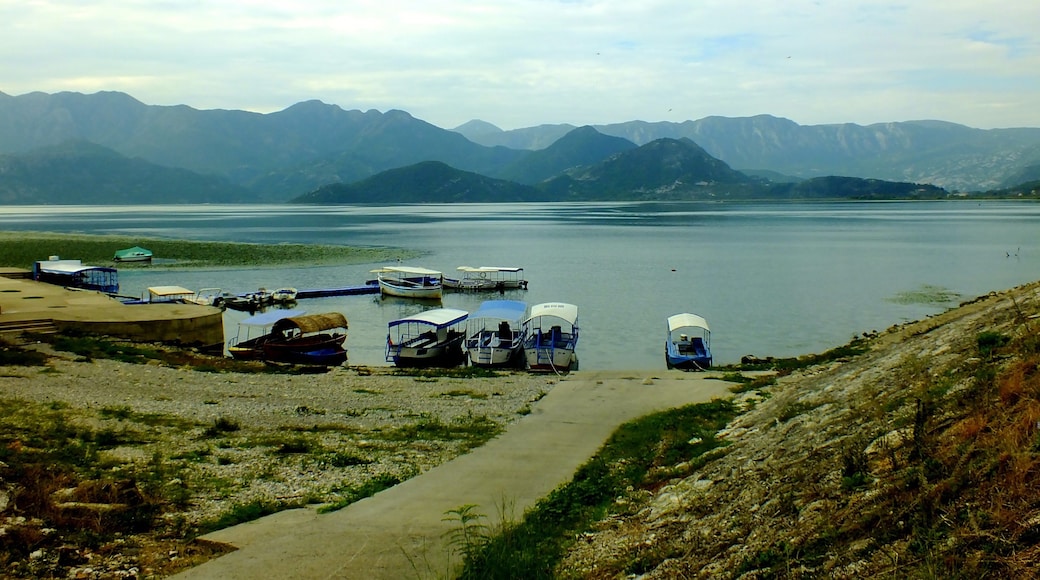 Qendër, Shkoder County, Albania