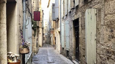 Street of Pézenas in the south of France