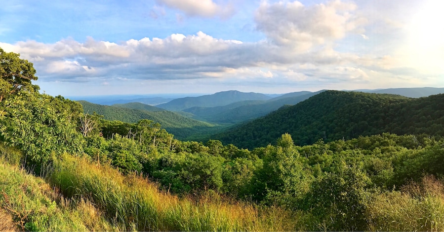 Spectacular views along Skyline Drive... There are views for the city and the valleys. Absolutely breathtaking, this area is filled with Hiking trails with Waterfalls, horse back riding and cabins to stay in as well as campgrounds. Enjoy