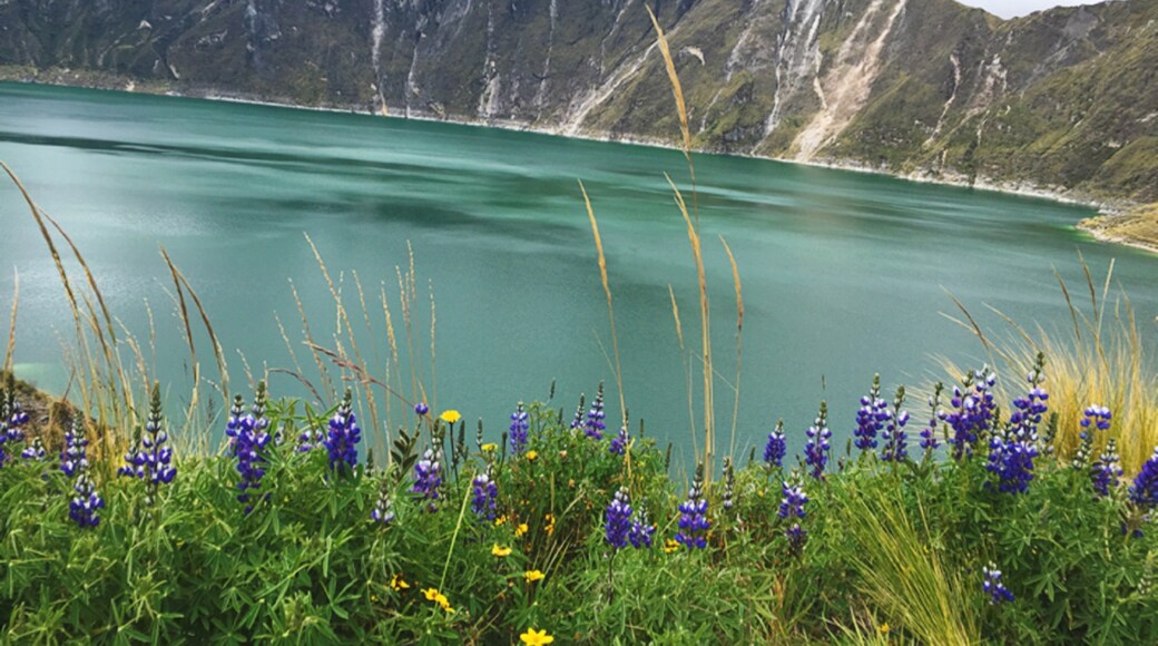 Photo by Denisse CVN