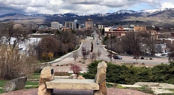 The City of Trees from the Boise Depot
