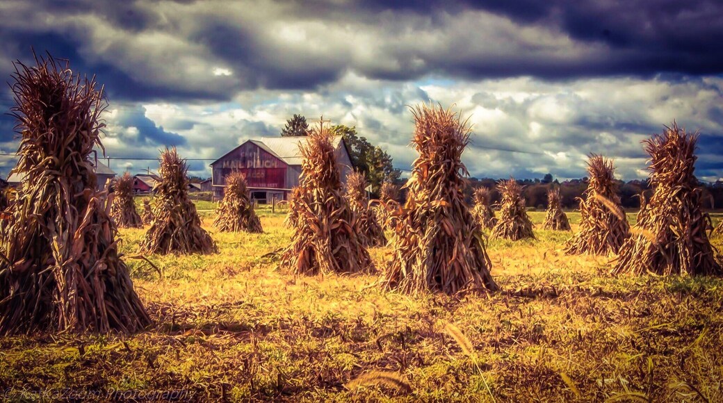 Photo de Sidney KatKaZoom