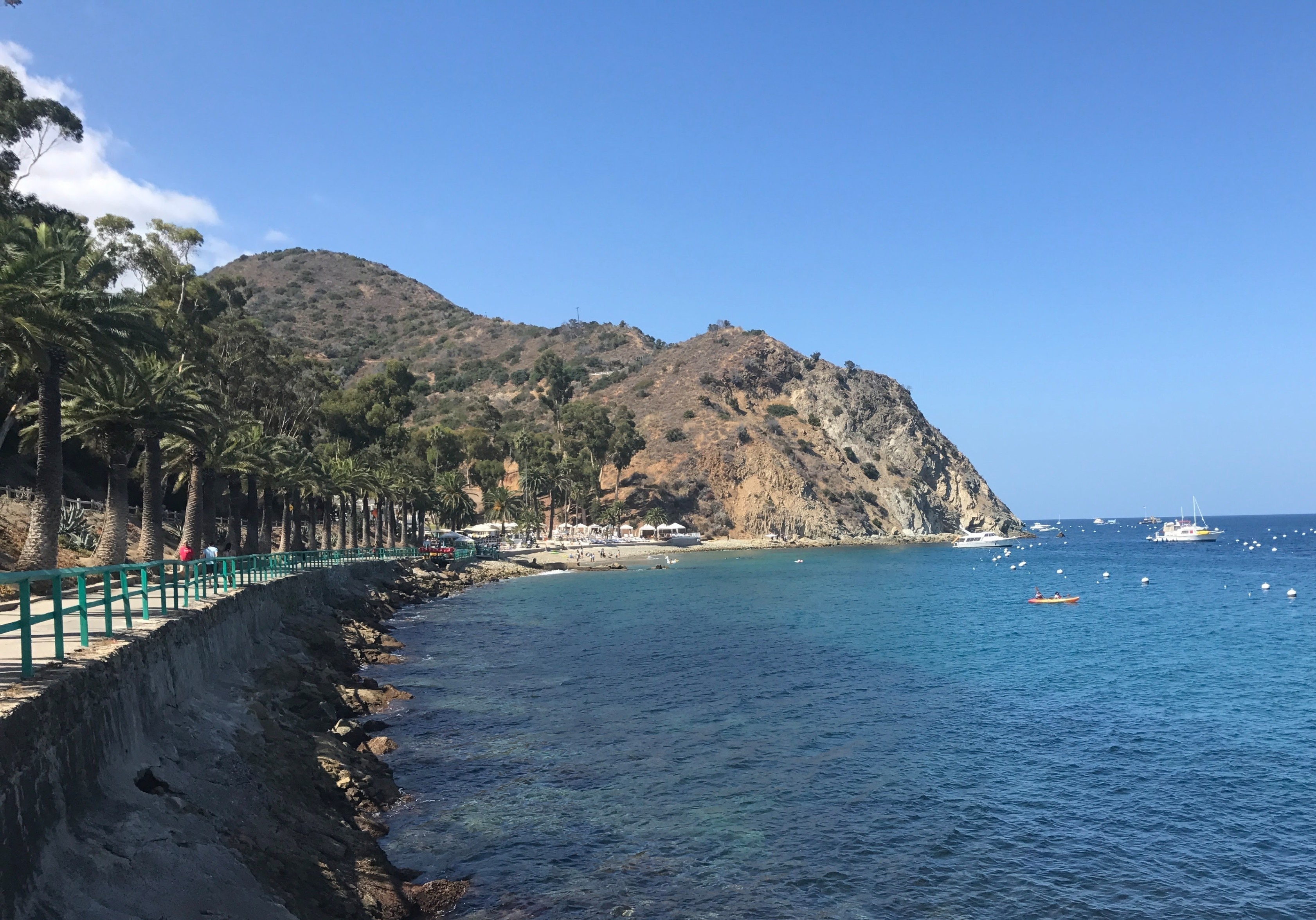Catalina Island is only 22 miles from LA and makes for a good day trip from there. #LifeAtExpedia