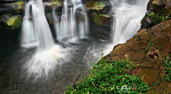 For a fine art print visit www.mattandersonphotography.com

Upper Ho’opi’i Falls is a small waterfall along Kapa’a Stream. It’s near the town of Kapa’a on the east side of Kauai. I’ve been to +16 islands, and this has to be the prettiest waterfall I have ever experienced. When I was crossing the top of the falls, I fell, gear and all. Luckily I was able to absorb most the impact of my gear