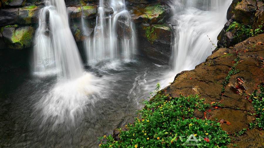 Ho'opi'i Falls