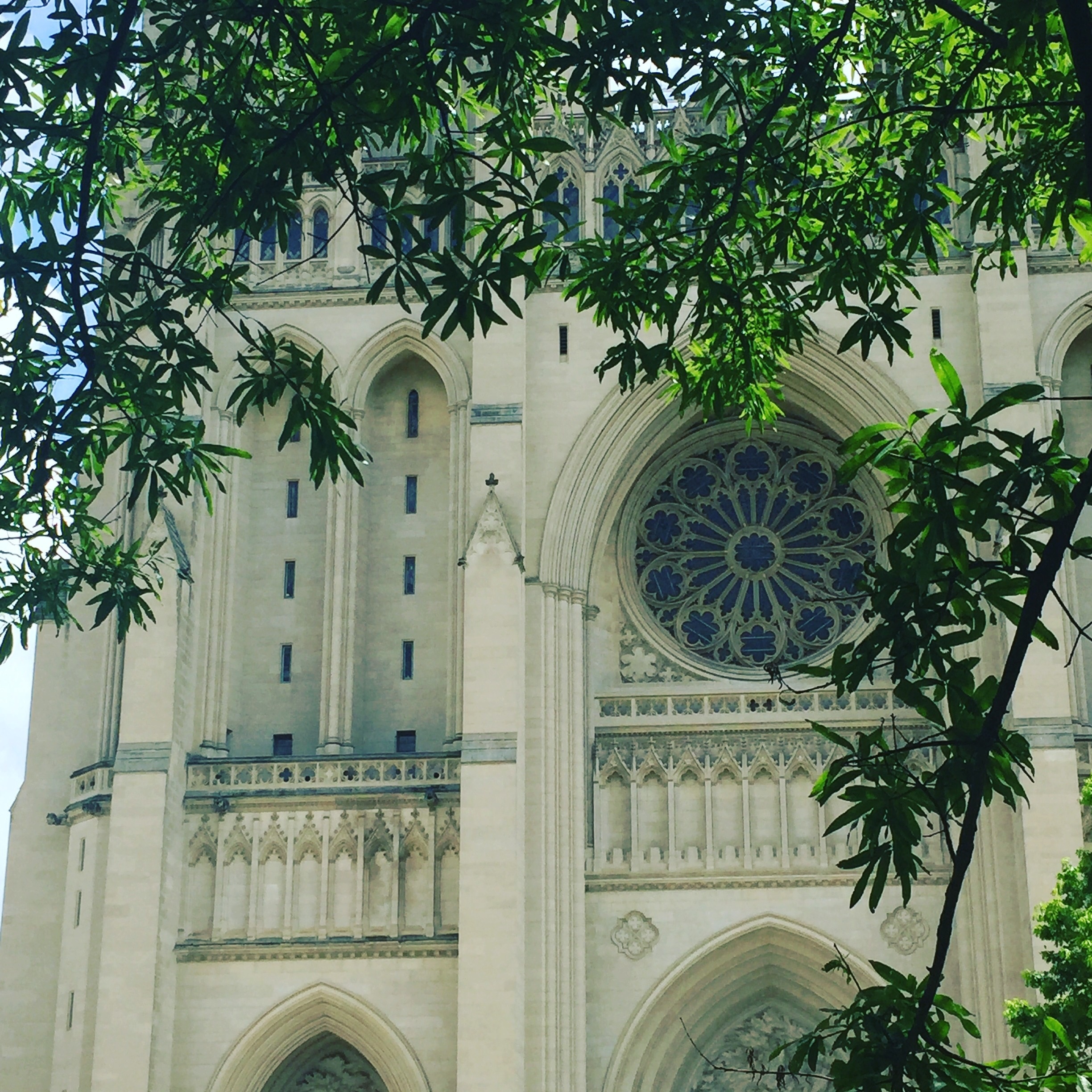Visitando a Catedral Nacional de Washington