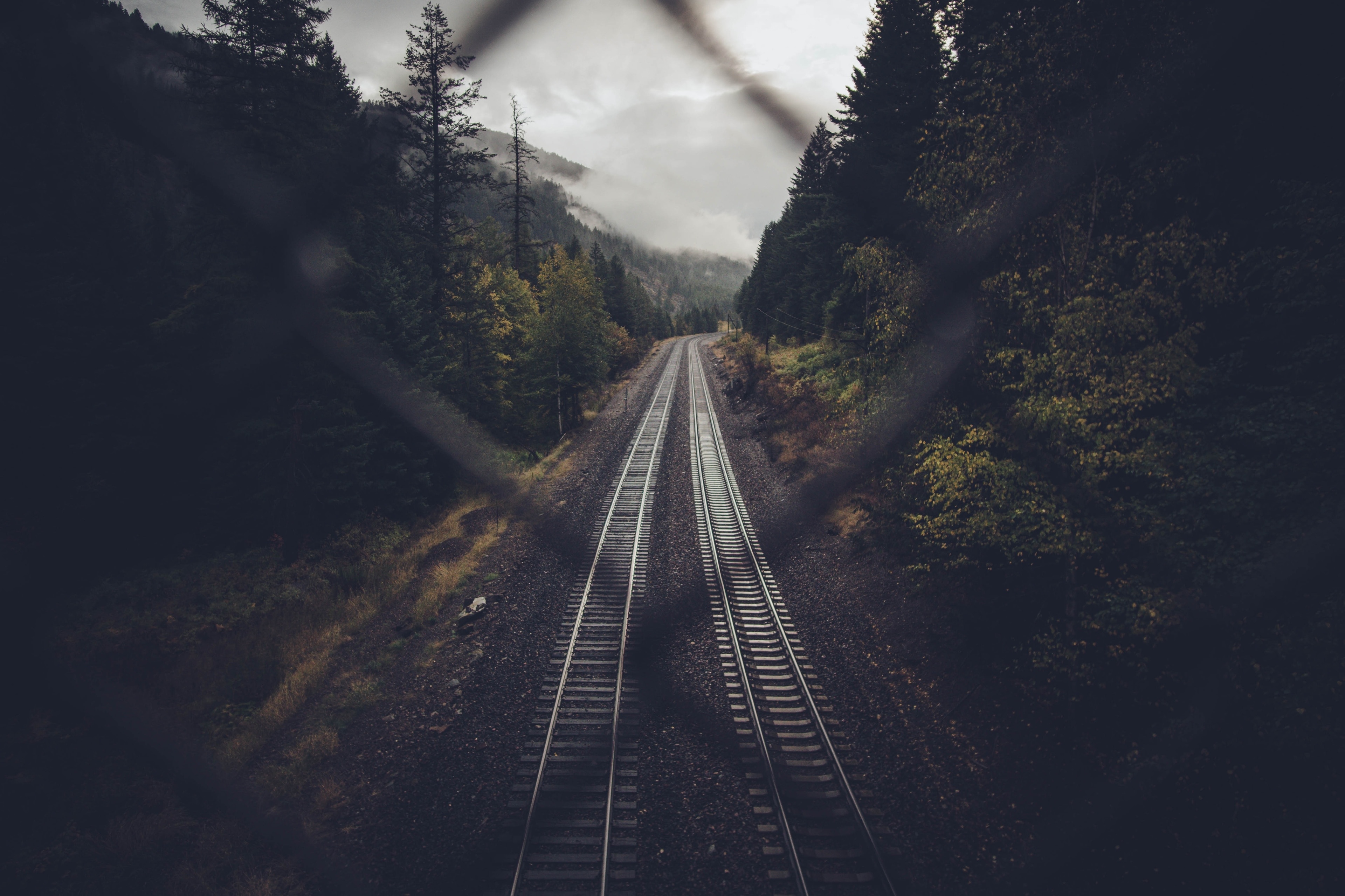 Follow the tracks or make your own? #Adventure