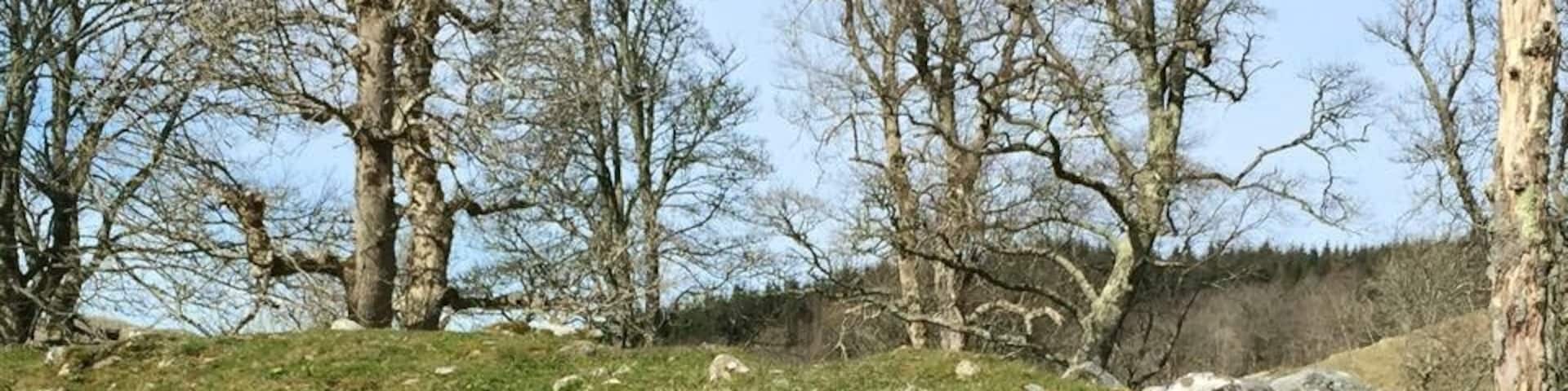 Chambered cairn.