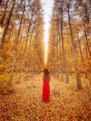 Fall in Oregon, 2 hours drive from Portland Oregon, this place is Amazing.
#GreatOutdoors