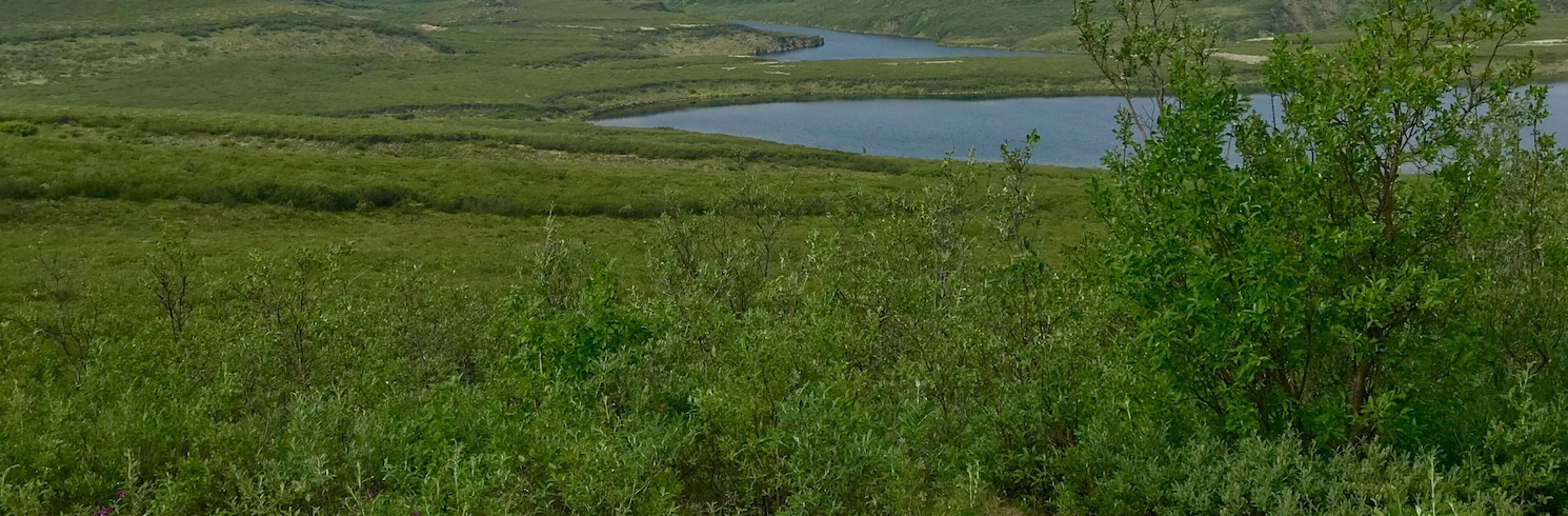 Delta Junction, Alaska, United States of America