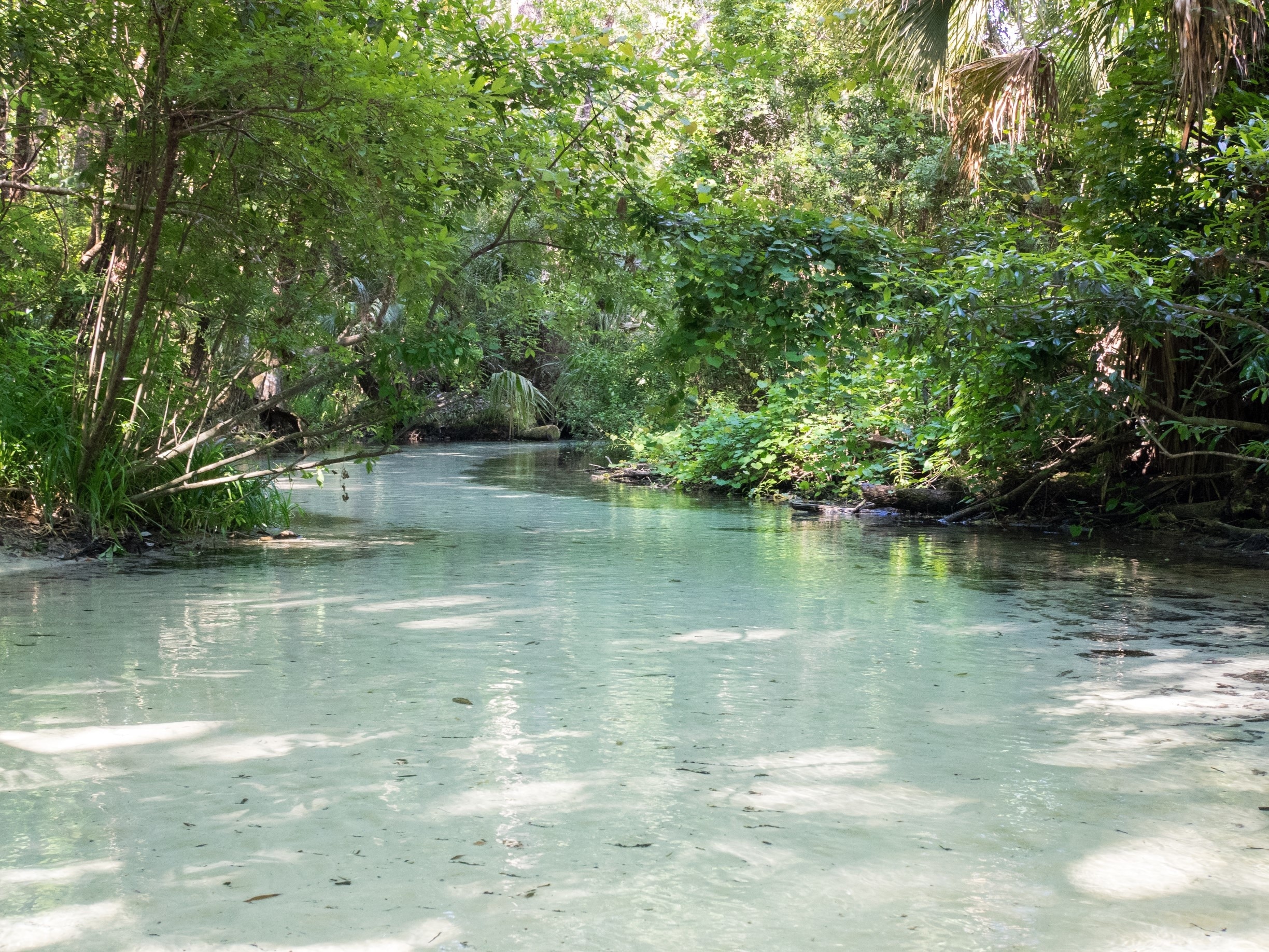 #SpringFun Spring is the best time to grab the paddleboards and head outside in Florida!  Weather is still cool and crisp in the morning and warms up nicely during the day, providing the perfect time to cool-off jump into the constant 72 degree water.  The photo here is a small creek along the Rainbow River with clear blue water and a nice sandy bottom.  We love finding little places like this on the larger rivers so we can hop-off and explore.  It also gets you away from the crowds and opens up the possibility of finding more pieces of paradise.  We like to launch from K.P. Hold (rather than the state park entrance), paddle up stream to the spring head, then use the current to float back down.  Of course, stopping as many times as desired for a swim!