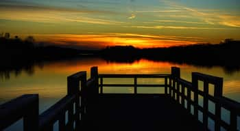 Concord Pier  #sunset #sky #colors #easttennessee #perspectives 