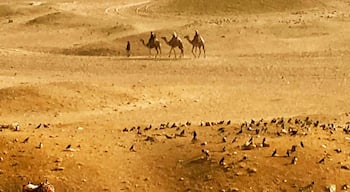 Cario pyramids - a day immersed into the nomadic life #red #nationalpark #hiking #travel #landscape  #nature