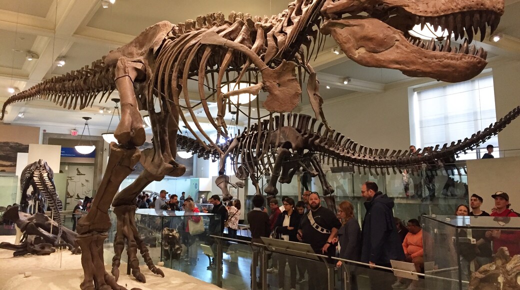 American Museum of Natural History (náttúruvísindasafn), New York, New York, Bandaríkin
