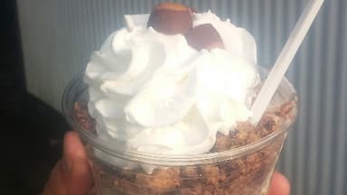The Buckeye sundae! Vanilla soft serve layered with hot fudge, peanut butter sauce, Reece's peanut butter cups, whipped cream and mini buckeyes! (as an aside, peanut butter sauce may be the single greatest condiment available.)