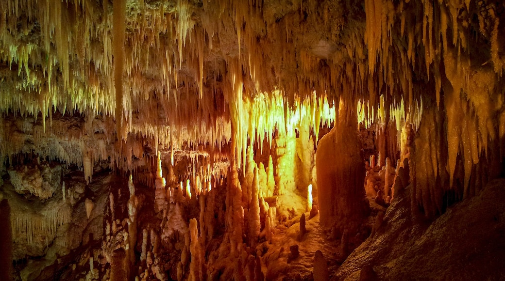 Grotte di Castellana, Castellana Grotte, Apulië, Italië
