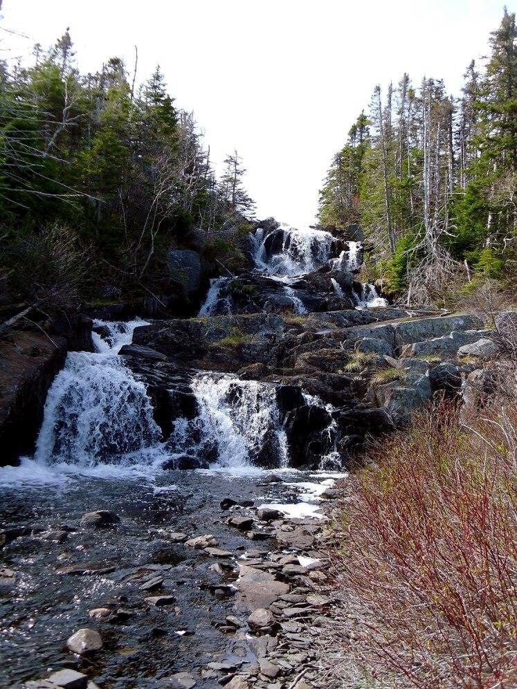 Visit Tors Cove Best of Tors Cove Tourism Expedia Travel Guide