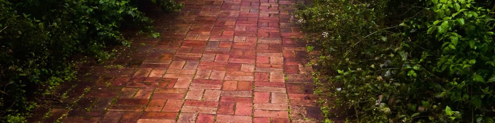 The lovely sound of birds singing from every direction.