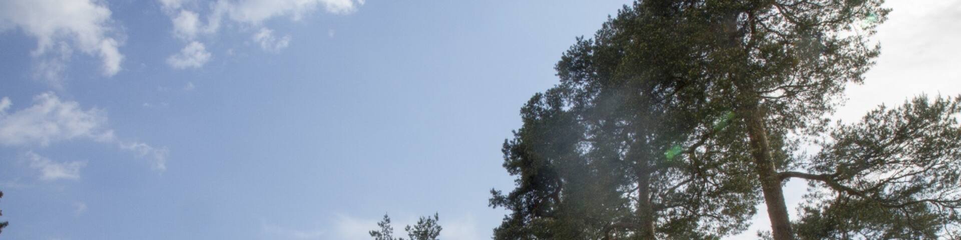 Henie Onstad Art Center
Read more about art venues in Oslo here:
http://www.wanderarti.com/guide-to-norway-great-art-venues-in-oslo/