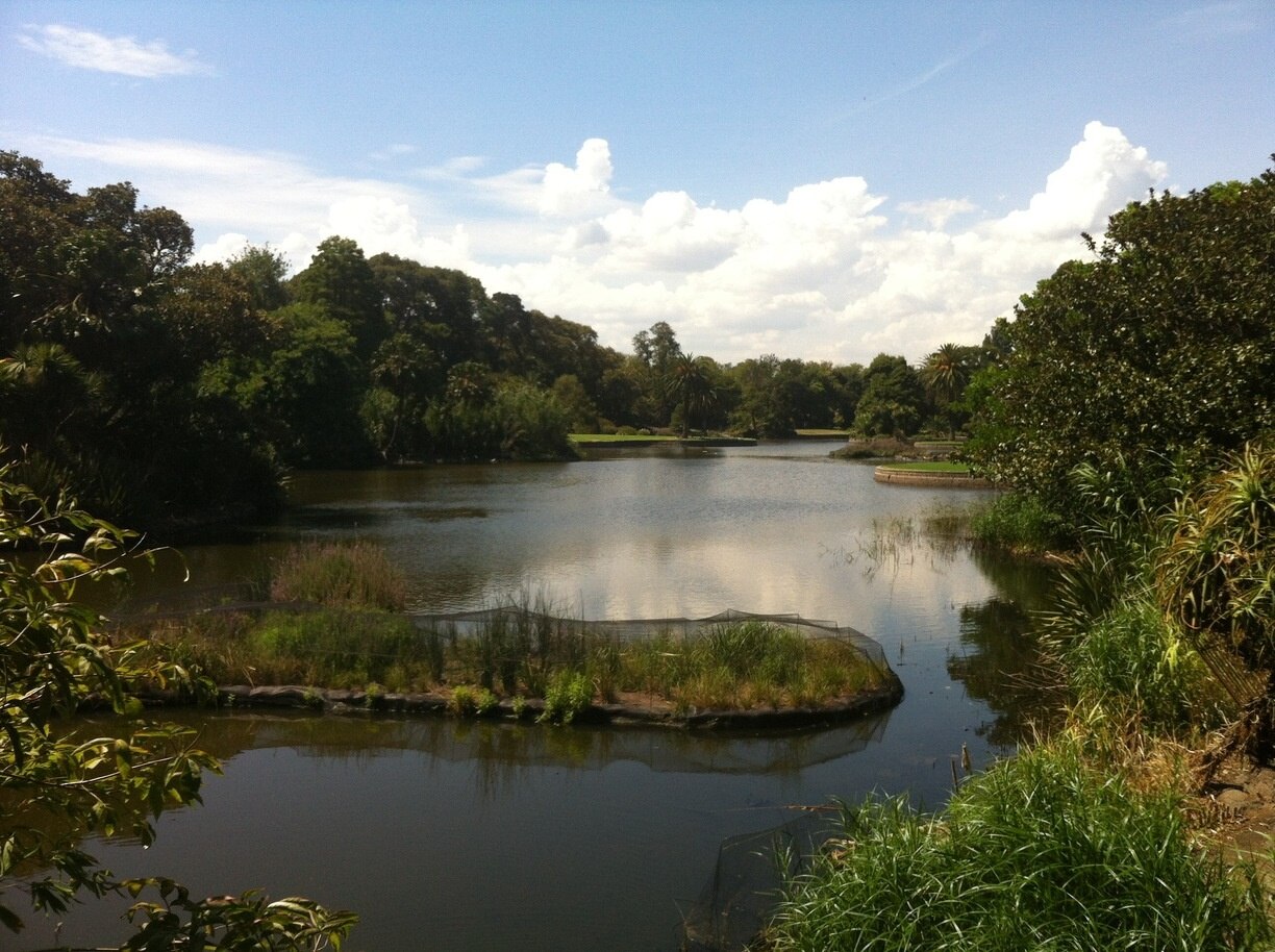 Finden Sie Hotels nahe Royal Botanic Gardens, Melbourne