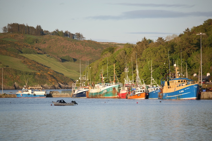The small fishing village and harbour of Union Hall is located on the western side of sheltered Glandore Harbour, in west Cork. A small fishing village of 200 residents, the village is a popular holiday destination in July and August. Boat tours depart from here for whale watching; minke, humpback and fin whale are seen regularly.