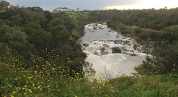 This is a lovely place to go exploring at any time of the year. There is a walking track along the river that leads to a number of platforms, which has beautiful views over the falls.

After a decent winters rain, it's great for photographers. In summer you can find a lot of skinks here. Great biodiversity. #lovemytown