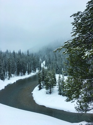 Snowmobiles can really take you off the grid to enjoy nature! #trovember