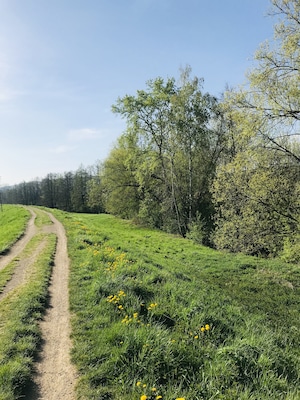 Great place to run, near the river Rudawa, near Błonia.