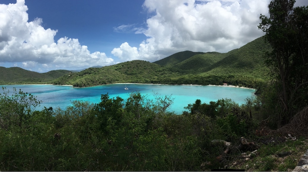 Maho Bay, St. John, Kepulauan Virgin Amerika Serikat