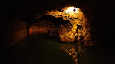 The history of Seegrotte outside Vienna, the largest underground lake in Europe, is really fascinating. At various times it was, among other things, a mine, a lake and an aircraft factory. Highly recommended!