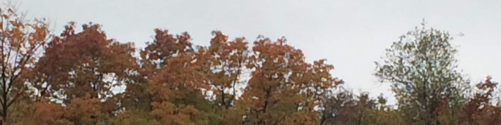 Hiking in and around the ghost town of centrilia,pa. 
#hAunted
#ghosttown
#hiking