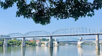 #beautifulbridges #walnutstreetbridge