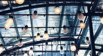 The golden hanging light bulbs lit up the glass house of The Toast Cafe and gave the big space a magical aesthetic. Have a seat and enjoy a cup of coffee with friends in the cozy cafe. 

#lifeatexpedia #lights #hanginglights