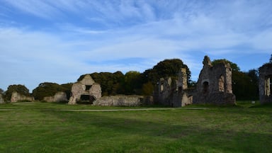 Taken near Thringstone in Leicestershire, UK.
#Midlands #Leicestershire #Priory #Buildings #Ruins