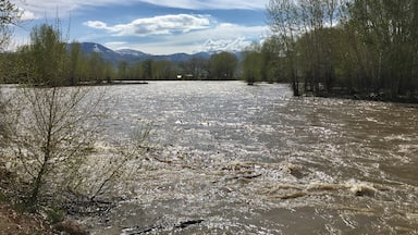 The rushing Salmon River in Challis Idaho. Very loud and fast. 

#Idaho #springfreshet

(May 2017)
