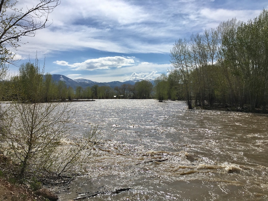 The rushing Salmon River in Challis Idaho. Very loud and fast.
#Idaho #springfreshet
(May 2017)