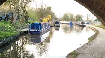 The canal near Alvechurch is a great place for an early evening walk.  