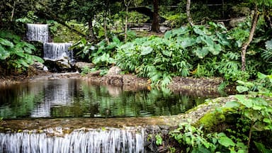 This is a beautiful place in my home country, Venezuela. This day was very special for me and this photo reflects that. Everytime I see it I get homesick. Venezuela's nature is marvelous. #Reflections