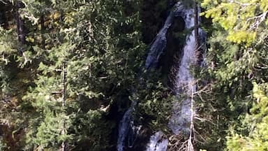 It’s about 1.5 miles for both the loop hike and a short spur trail to an overlook of a waterfall tumbling into the Big Quilcene River. 
