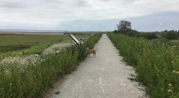 A quick jaunt through migratory bird territory. If you can ignore the highway noise on the path that goes beside the road, it's a peaceful short walk along sand marshland. Visit from fall to spring to see the most wildlife