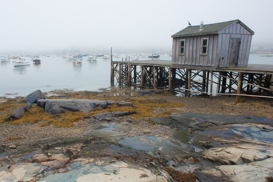 Looking through the fog across Bass Harbor to Tremont on #MountDesertIsland.