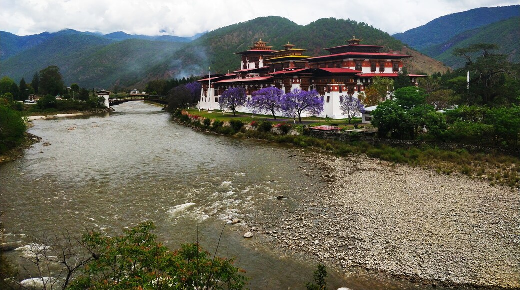 Punakha Dzong, Punakha, Punakha, Bhutan