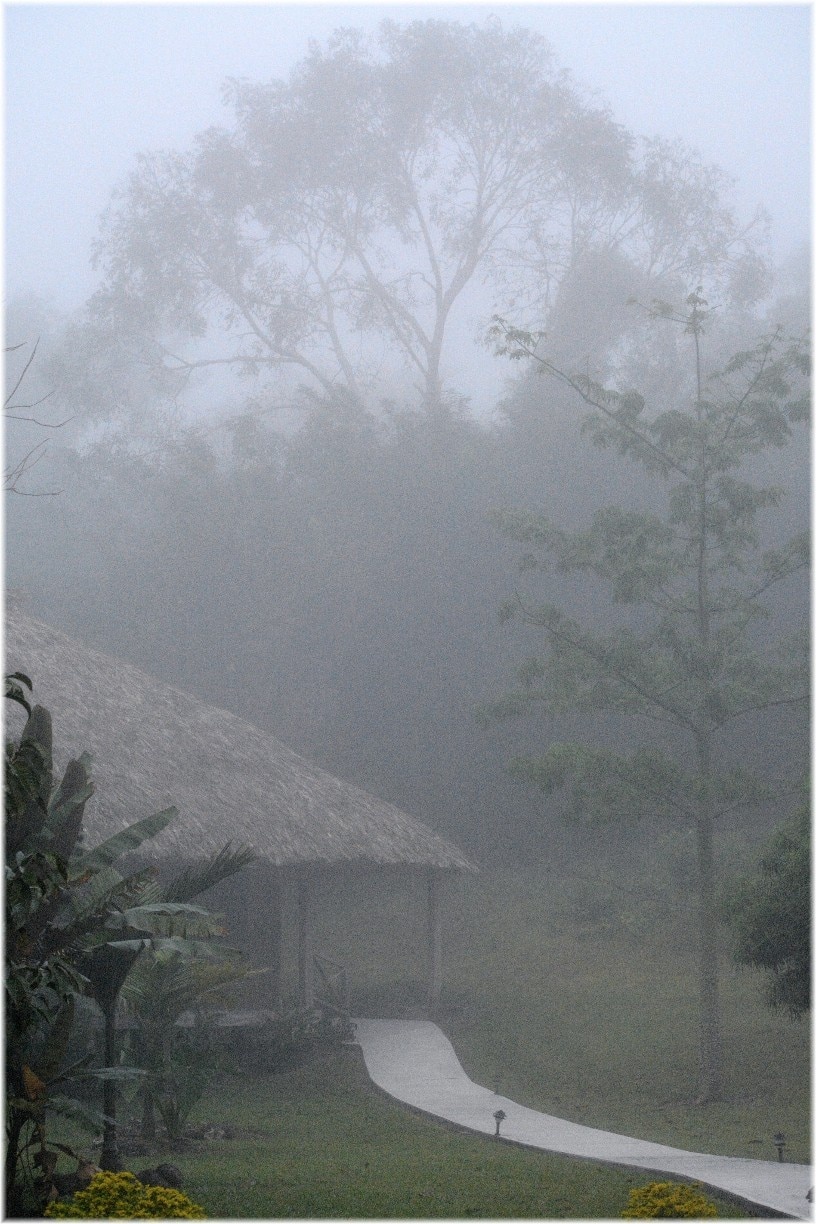 Cabana at the La Milpa Ecolodge and Research Station seen in the early morning fog. The lodge is in the Rio Bravo Conservation area in the Belizean rainforest near the Guatemalan and Mexican borders and attracts birders and those interested in the local wildlife and Mayan ruins. The tree on the right is a kapok or ceiba tree, which Mayans believed represented the hierarchical structure of the universe.