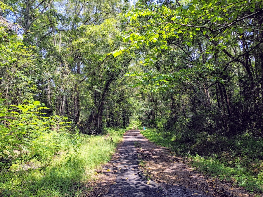 Burnley Road in Raymond, MS. In the middle of nowhere, but it's part of Burnley Family history.