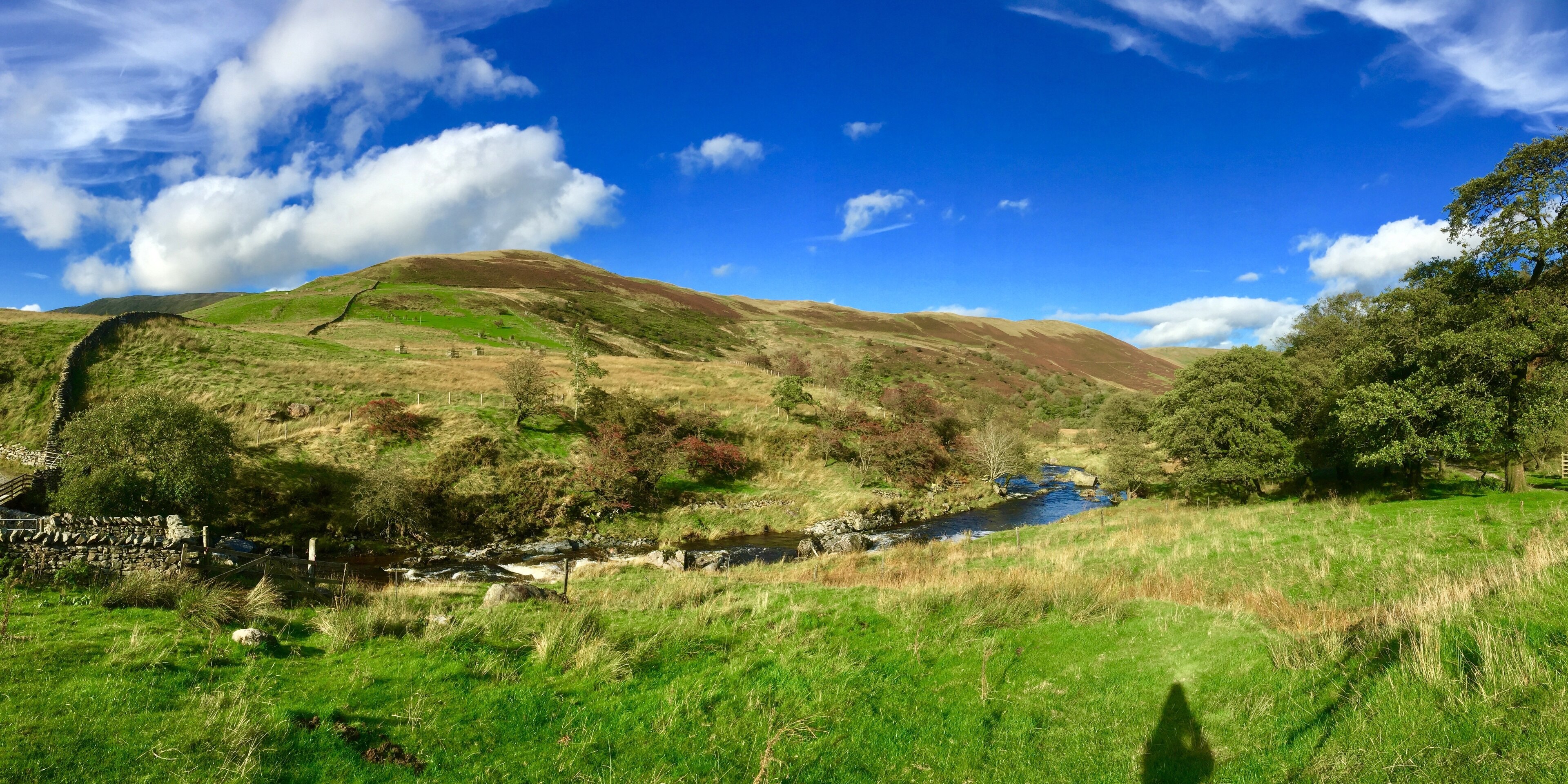 Foto von Kathy Appleby