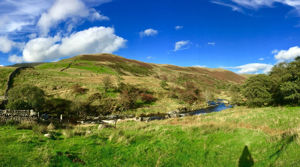 Foto von Kathy Appleby